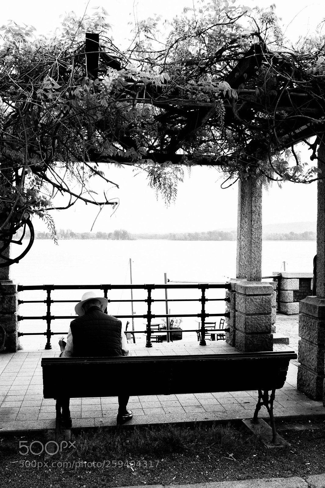 Fujifilm X100F sample photo. Read on the lake photography