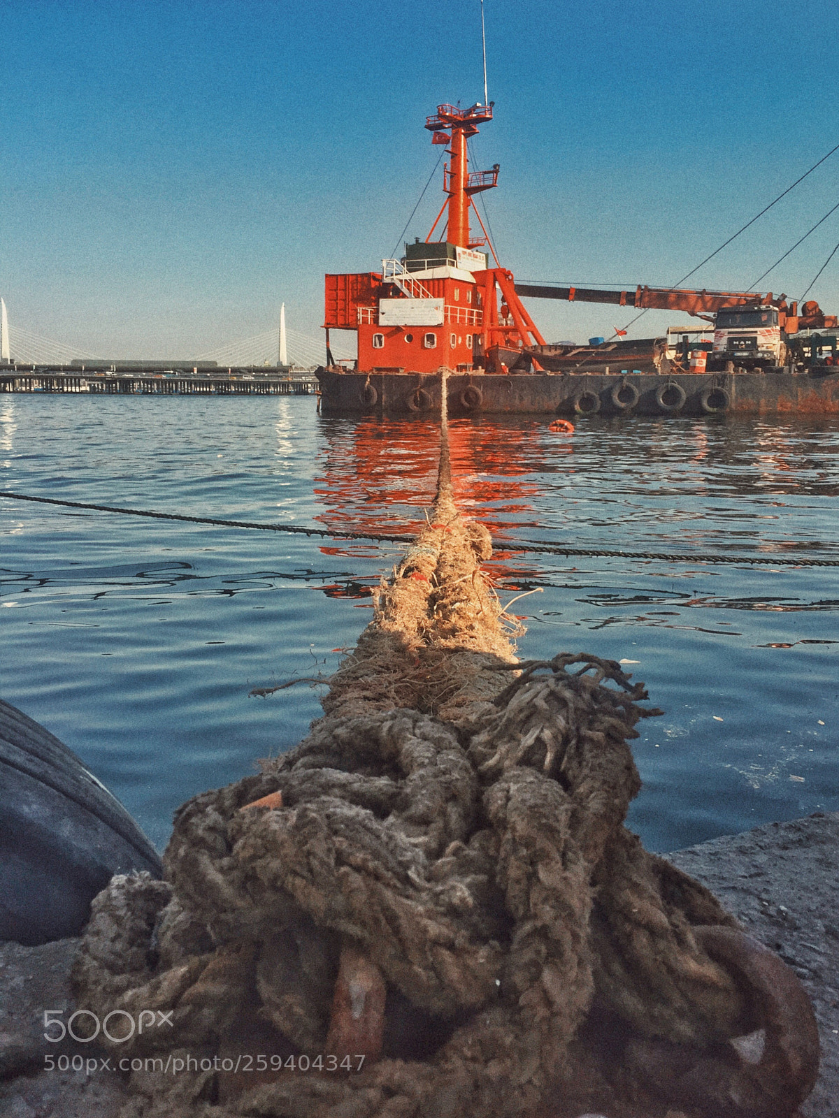 Apple iPhone 6 Plus sample photo. Link photography