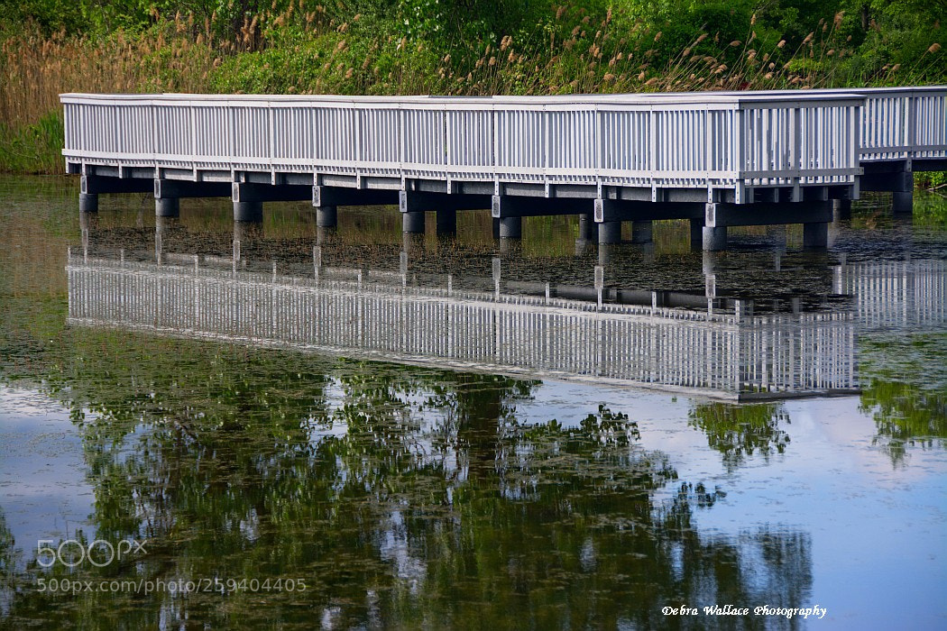 Nikon D7100 sample photo. Reflections at the walkway photography