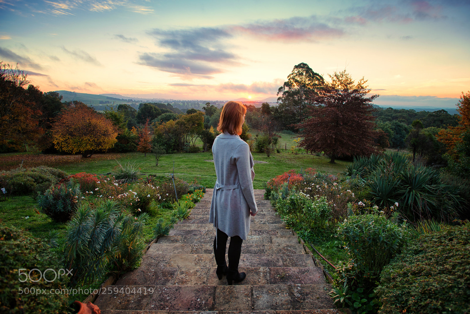Nikon D610 sample photo. Admiring the view photography