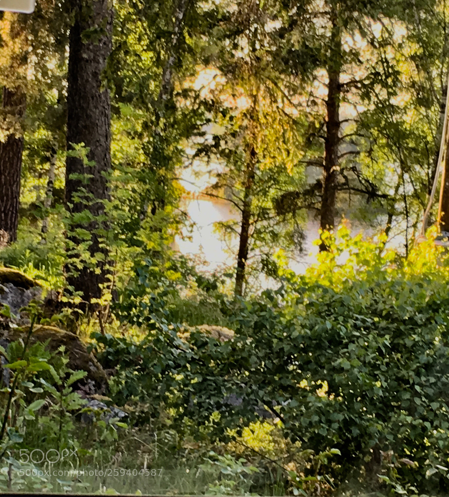 Apple iPhone SE sample photo. Small island in ”gold” photography