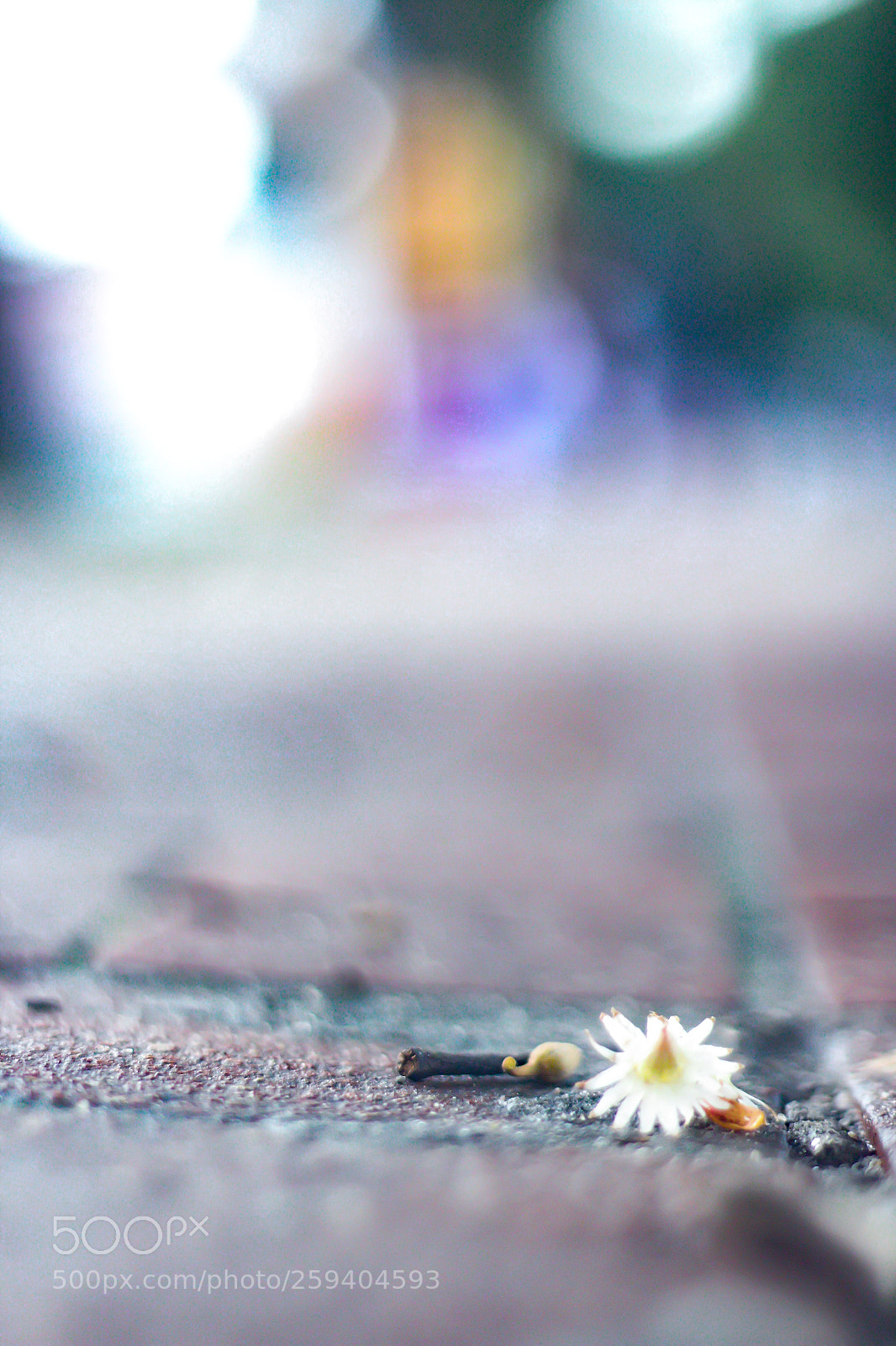 Canon EOS 70D sample photo. Alone photography