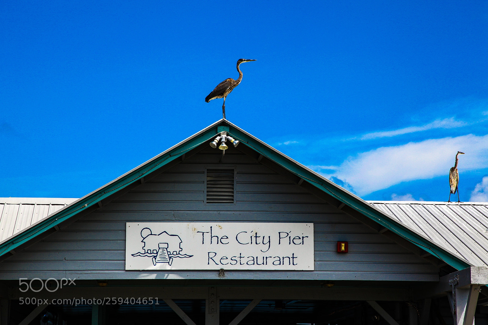 Canon EOS 5D Mark II sample photo. City pier, anna maria photography