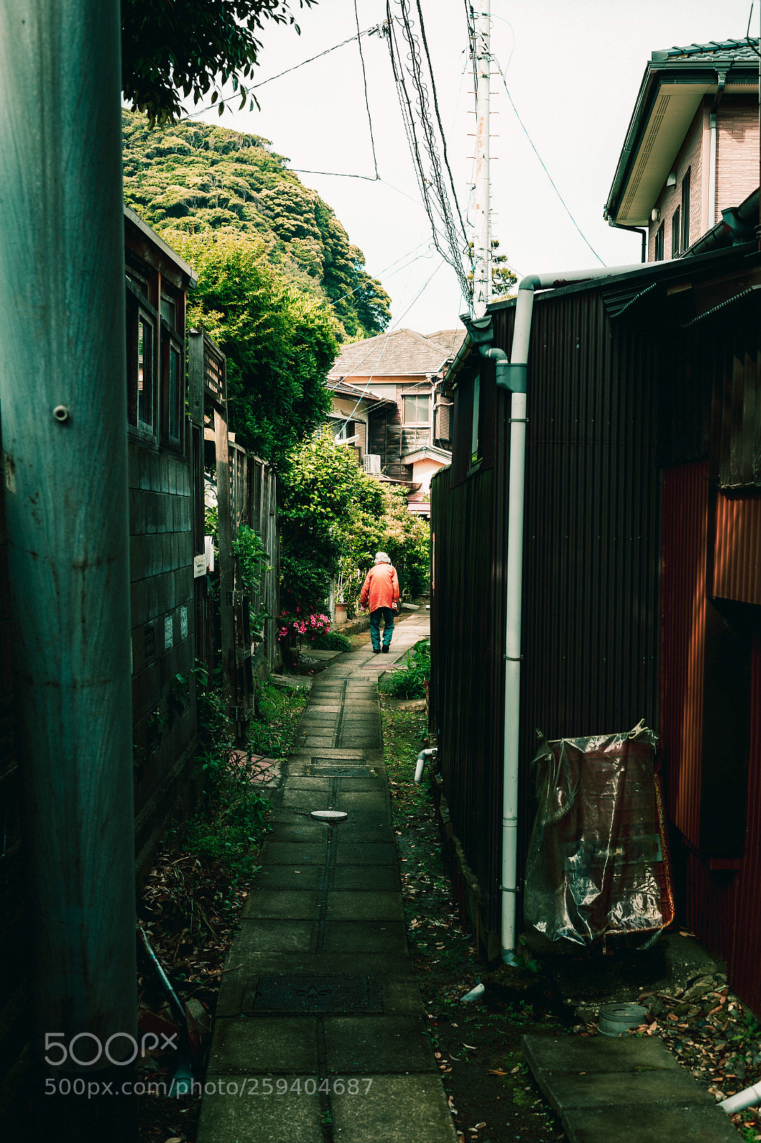 Canon EOS 6D sample photo. Untitled photography