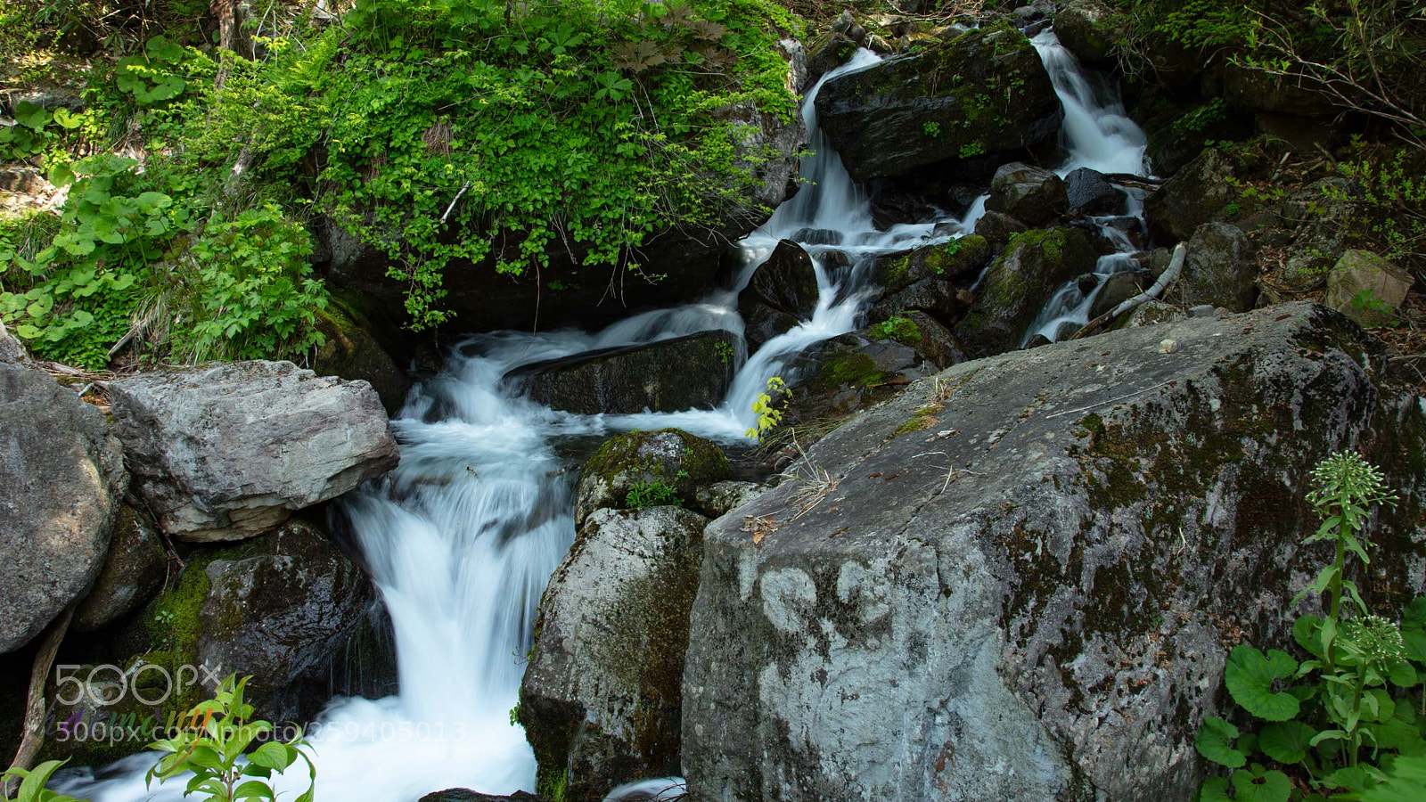 Canon EOS 5DS sample photo. Stream in  the mountain photography