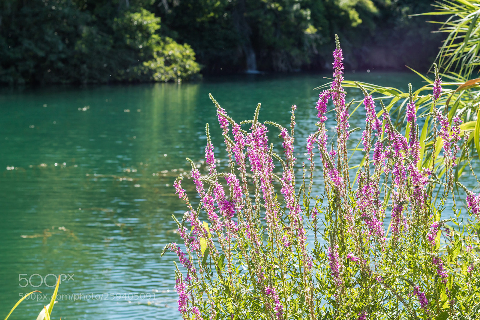 Canon EOS M3 sample photo. Krka national park photography