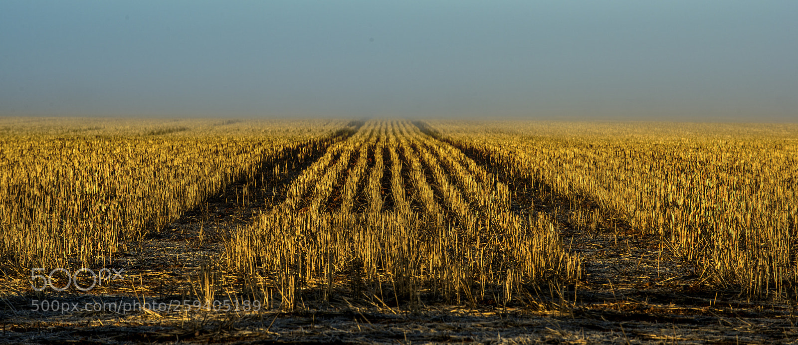 Nikon D810 sample photo. Sunrise near melrose,south australia photography