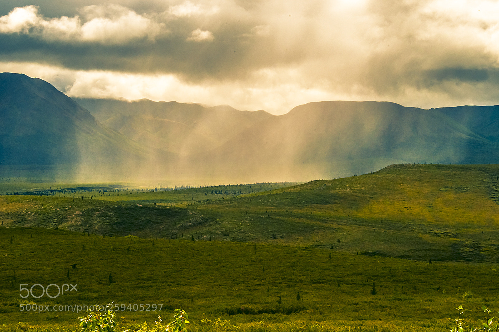 Nikon D300 sample photo. Swiftly comes the rain photography