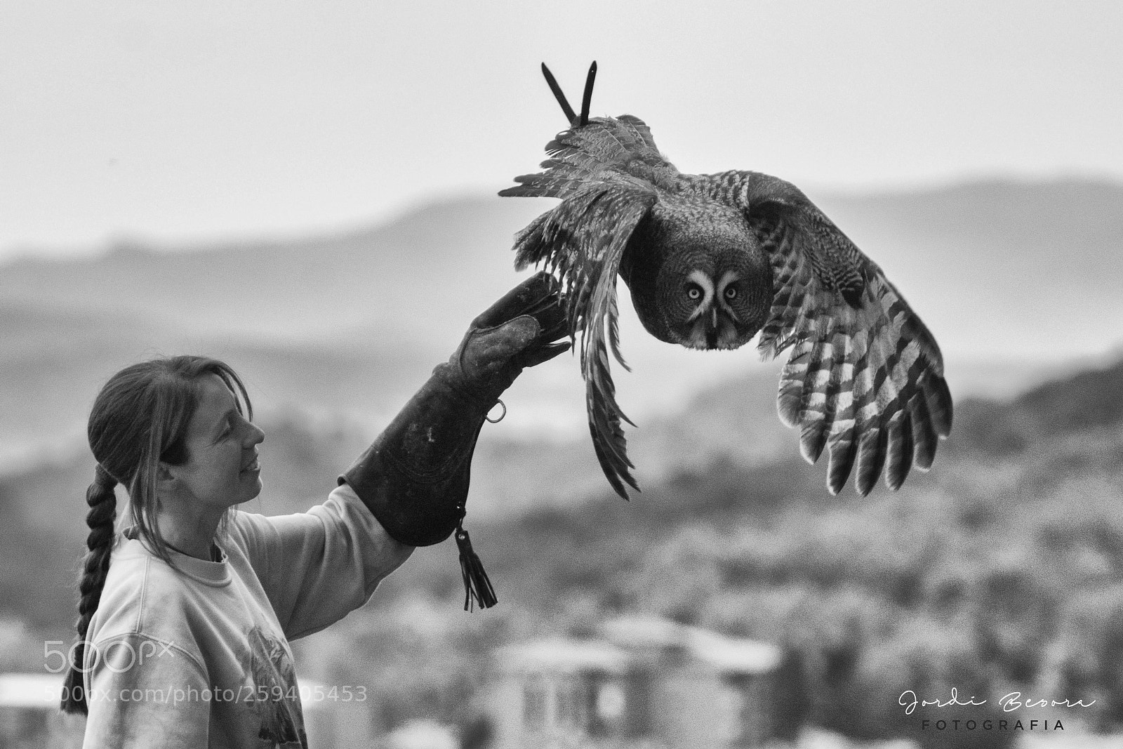 Nikon D5300 sample photo. Owl photography
