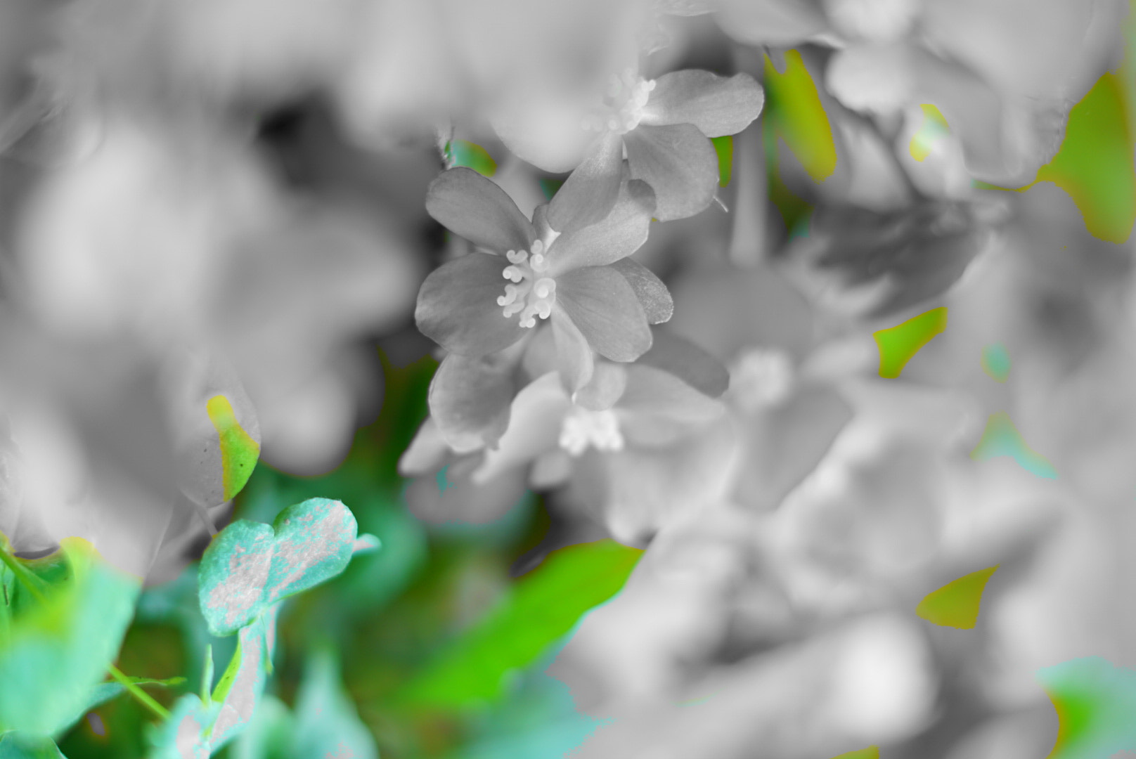 Sony a5100 sample photo