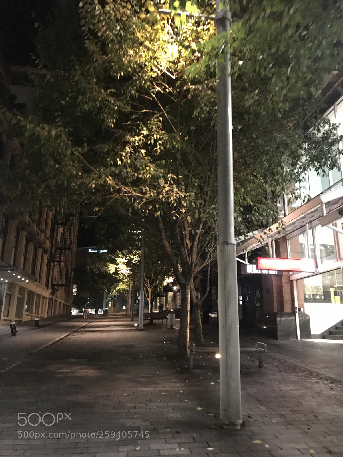 Apple iPhone 7 sample photo. Untitled photography