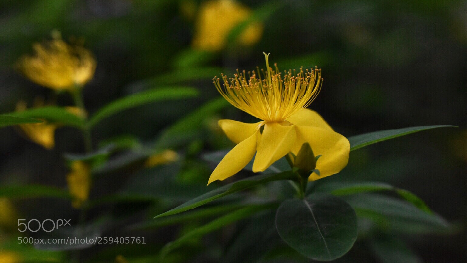Nikon D5500 sample photo. Untitled photography