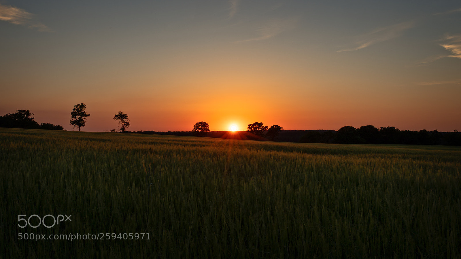 Canon EOS 5D Mark IV sample photo. Sunset photography