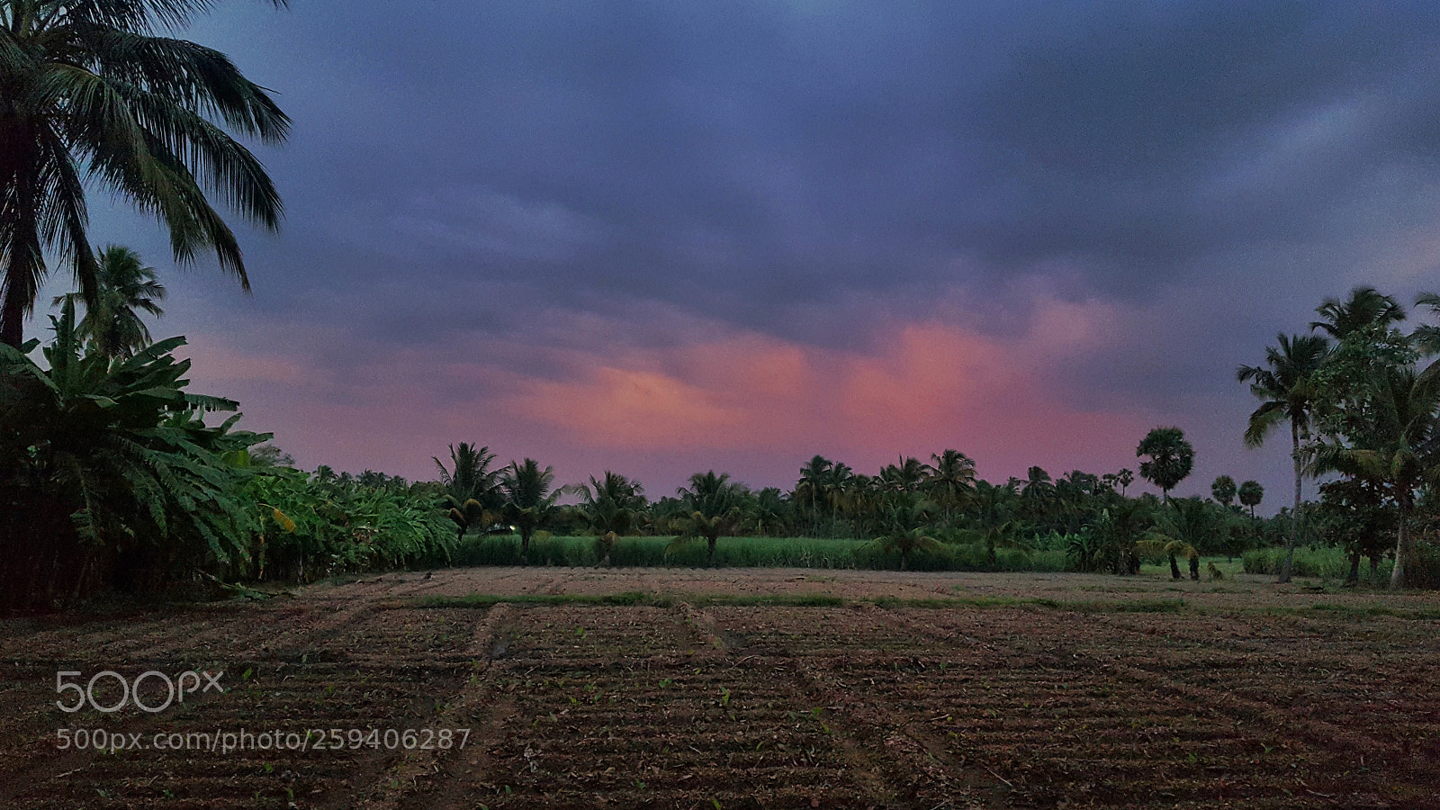 Samsung GALAXY S6 edge sample photo. Farmlands photography