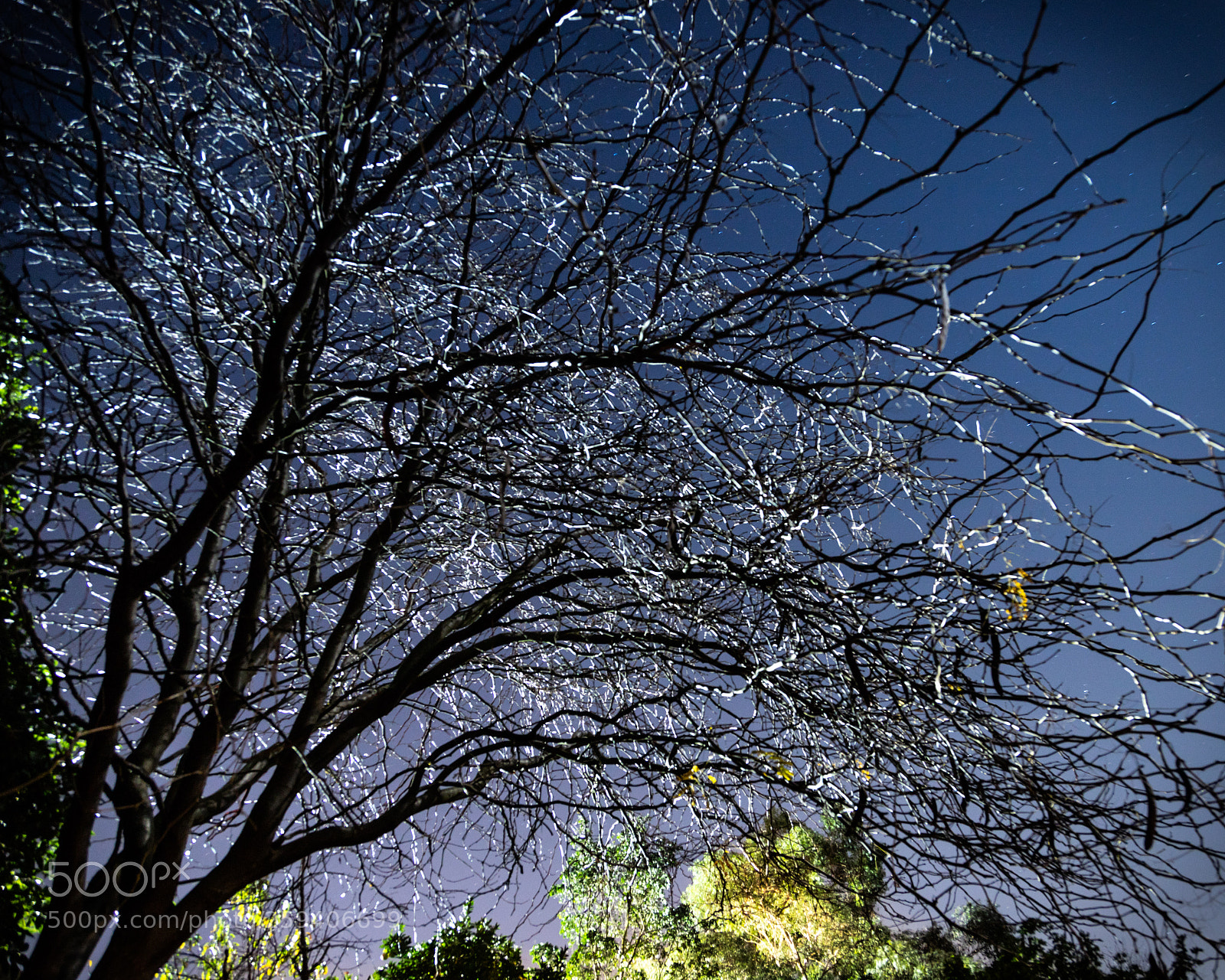 Canon EOS 6D Mark II sample photo. Light through the night photography