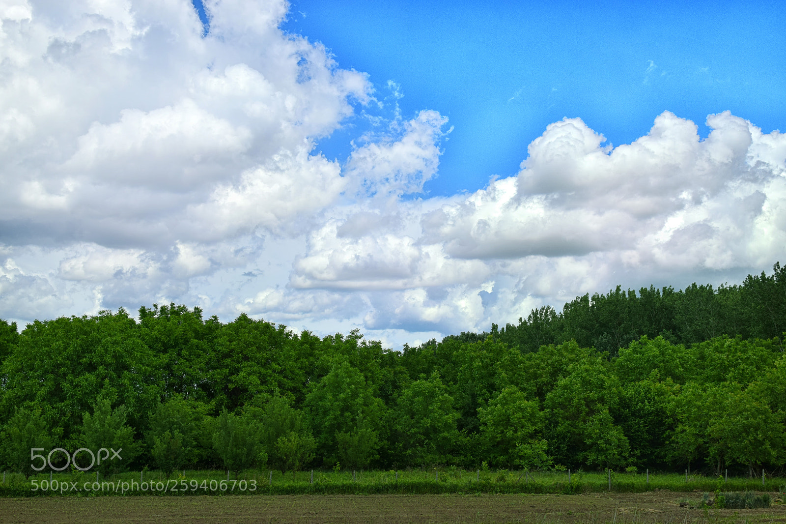 Nikon D5300 sample photo. Untitled photography