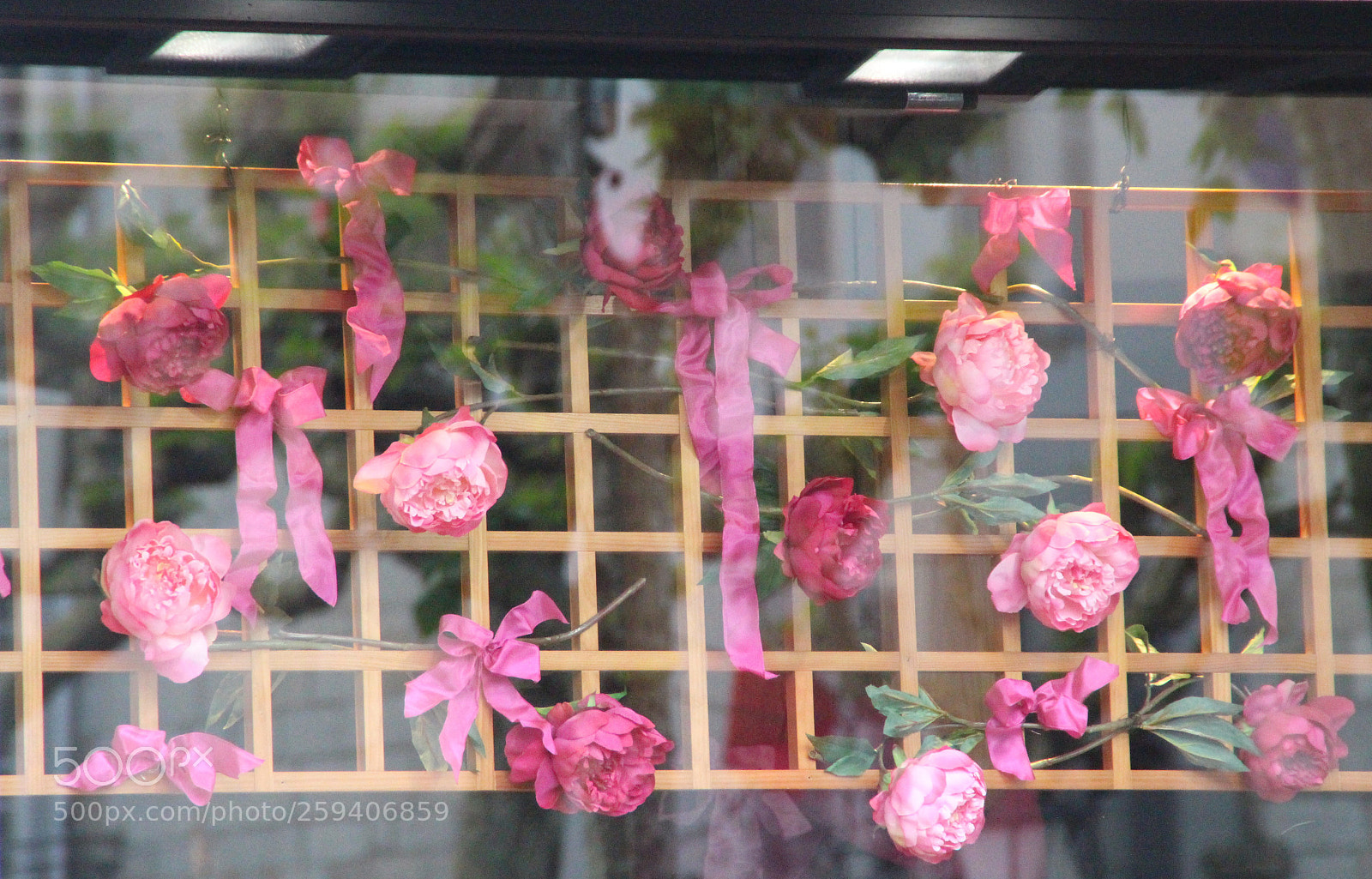 Canon EOS 700D (EOS Rebel T5i / EOS Kiss X7i) sample photo. Little things photography