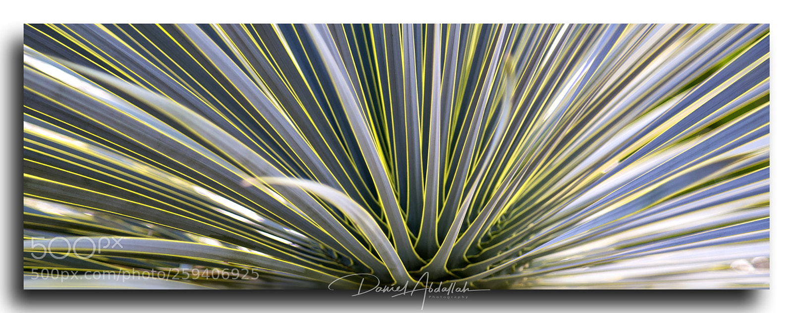 Canon EOS 6D sample photo. Img photography