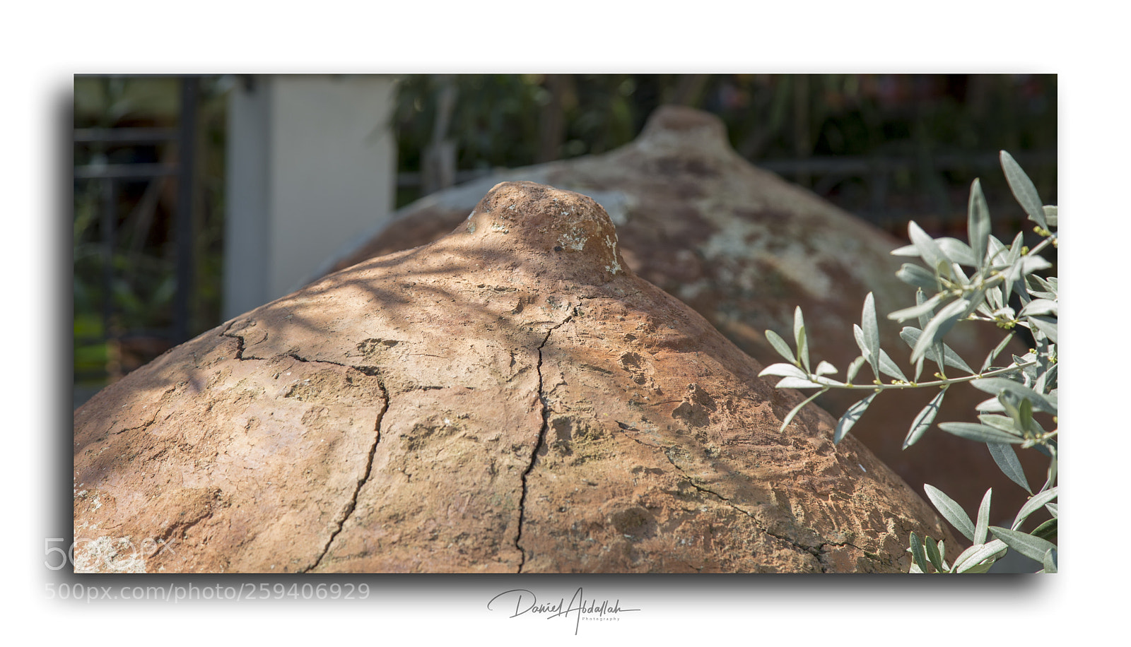 Canon EOS 6D sample photo. Img photography