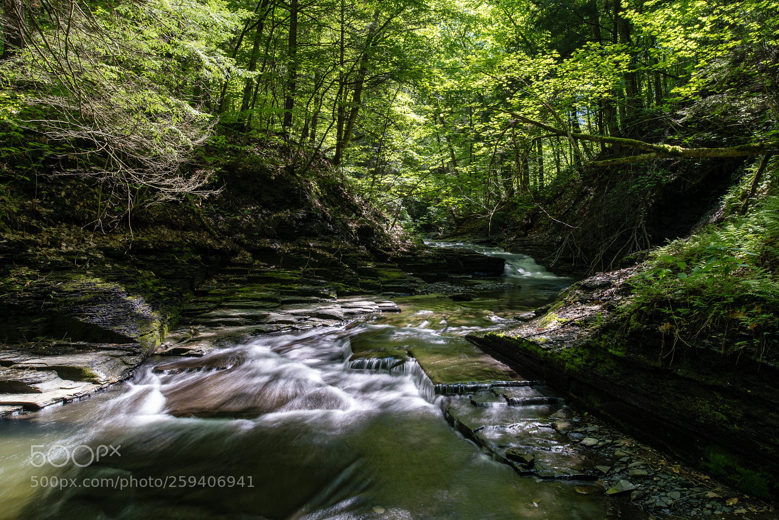 Nikon D750 sample photo. Cascades along dry creek photography