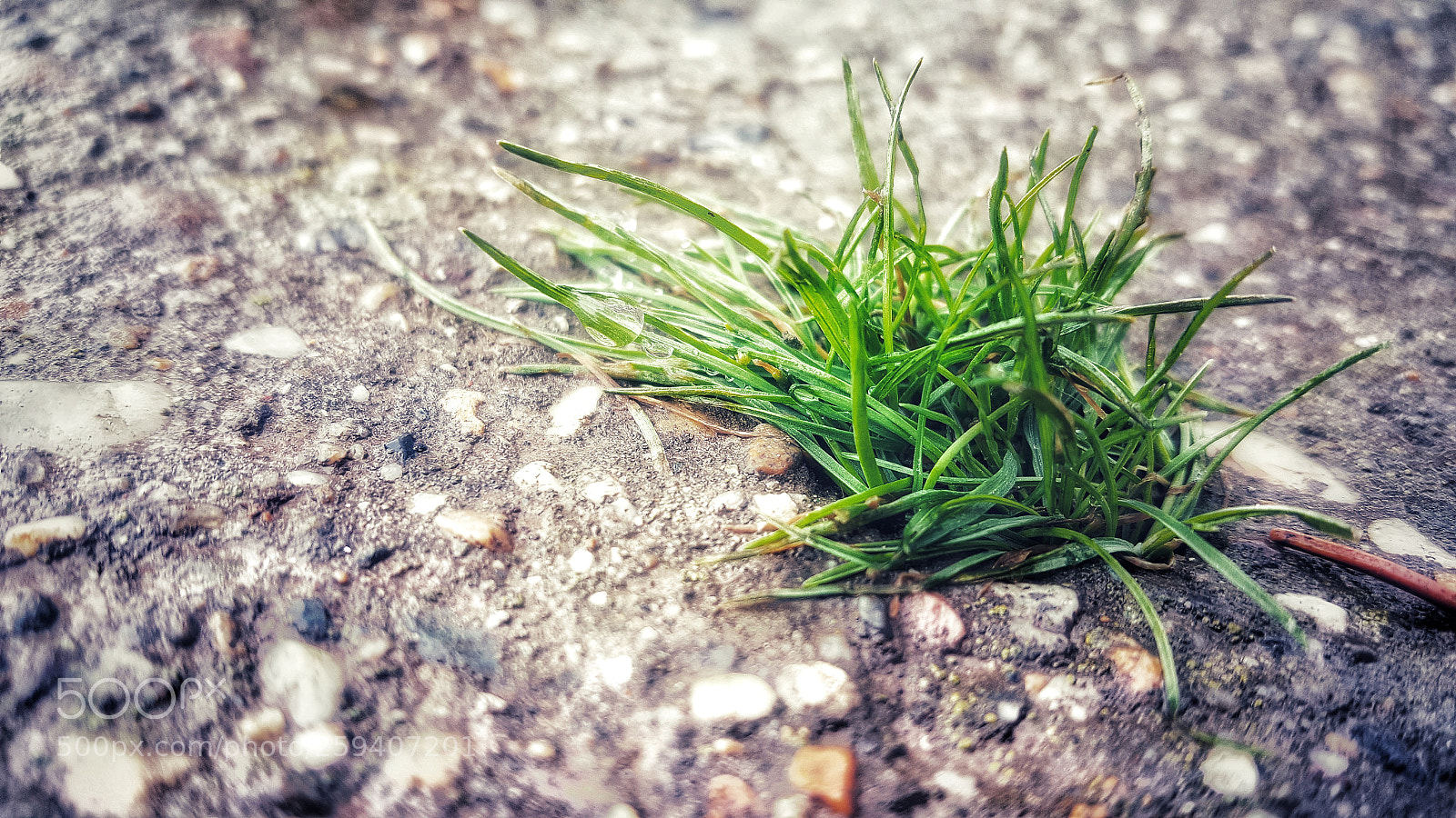 Samsung Galaxy Note5 sample photo. Mini me photography