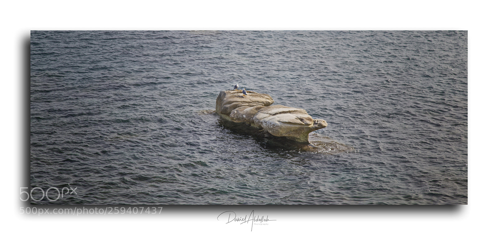 Canon EOS 6D sample photo. Img photography