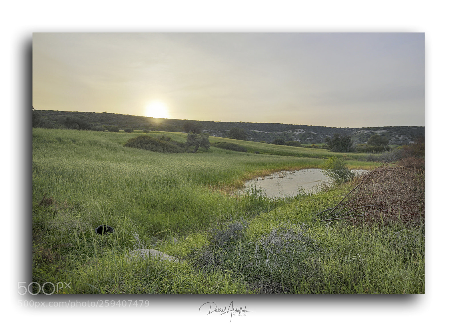 Canon EOS 6D sample photo. Img photography