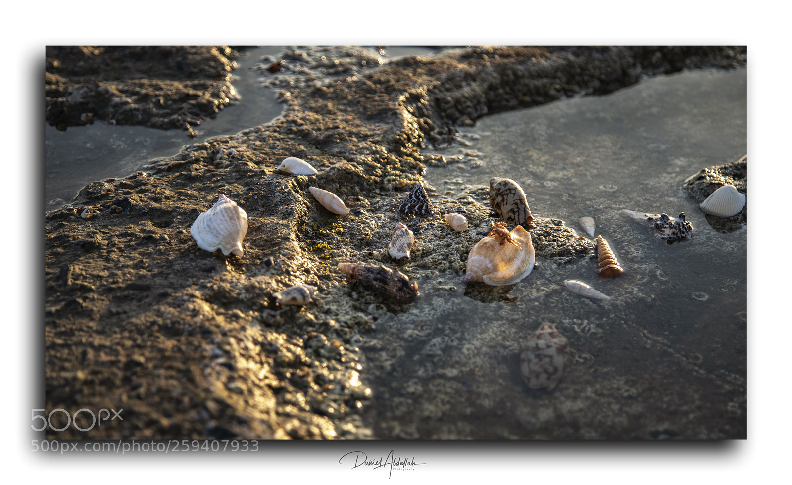 Canon EOS 6D sample photo. Untitled photography