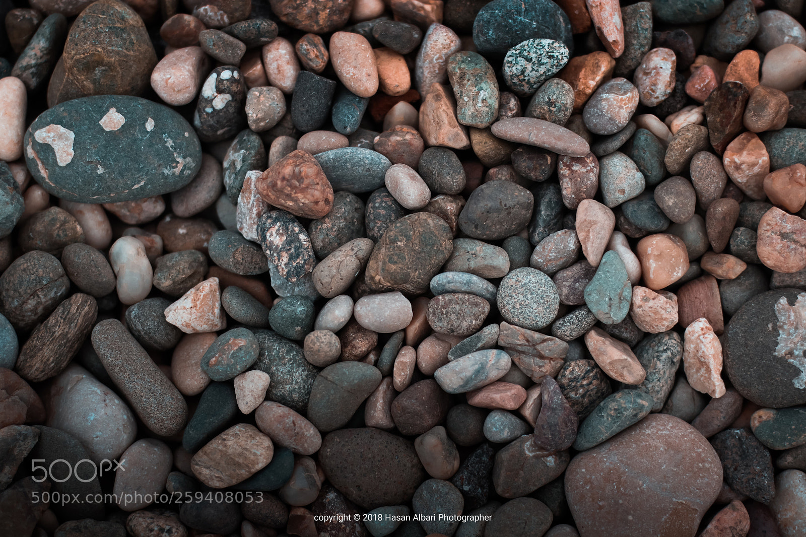 Canon EOS 80D sample photo. Wallpaper  photography