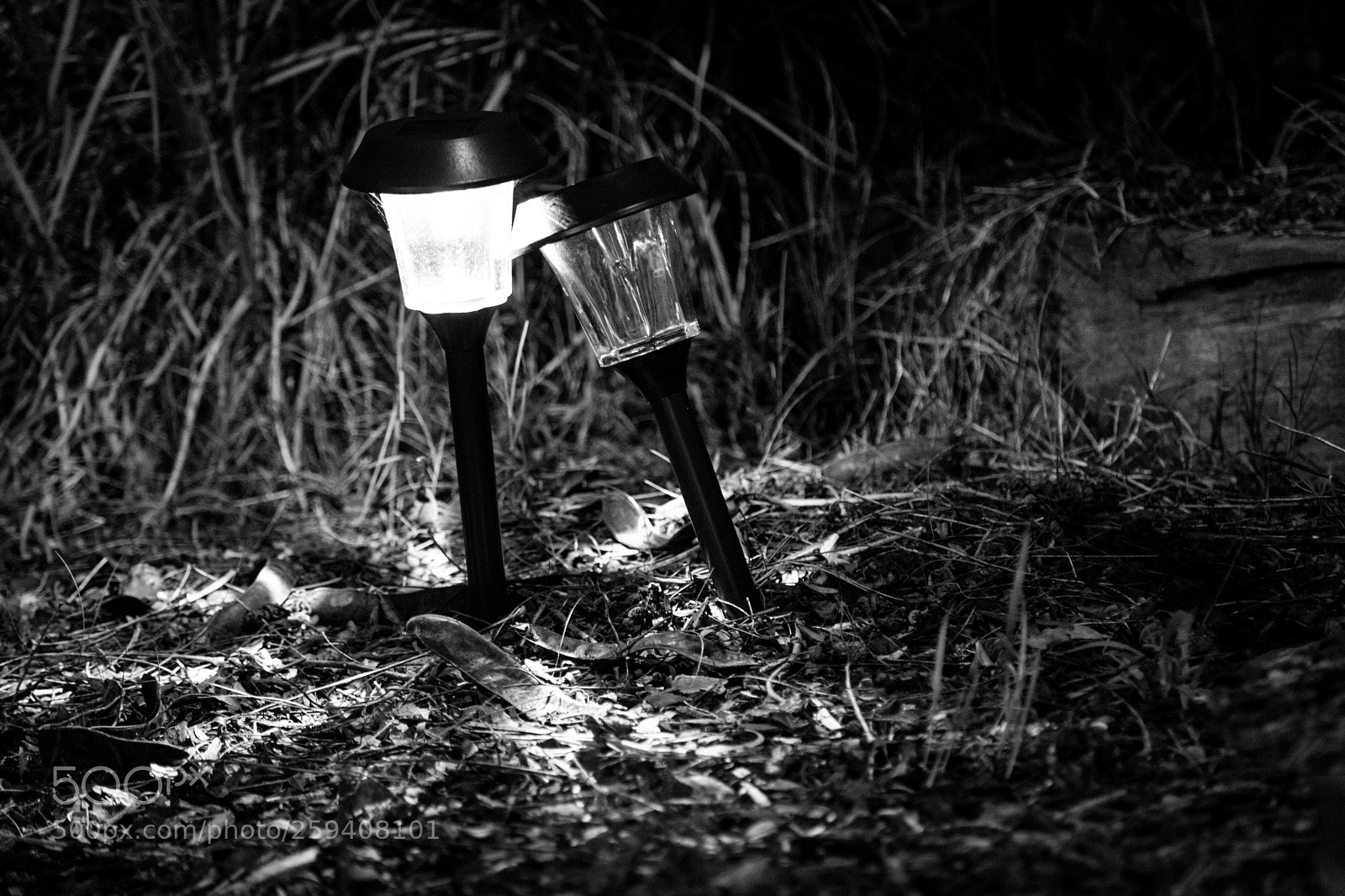 Canon EOS 6D Mark II sample photo. Light my night photography