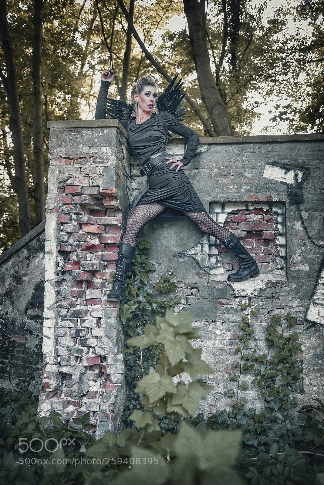 Nikon D810 sample photo. Black cat photography