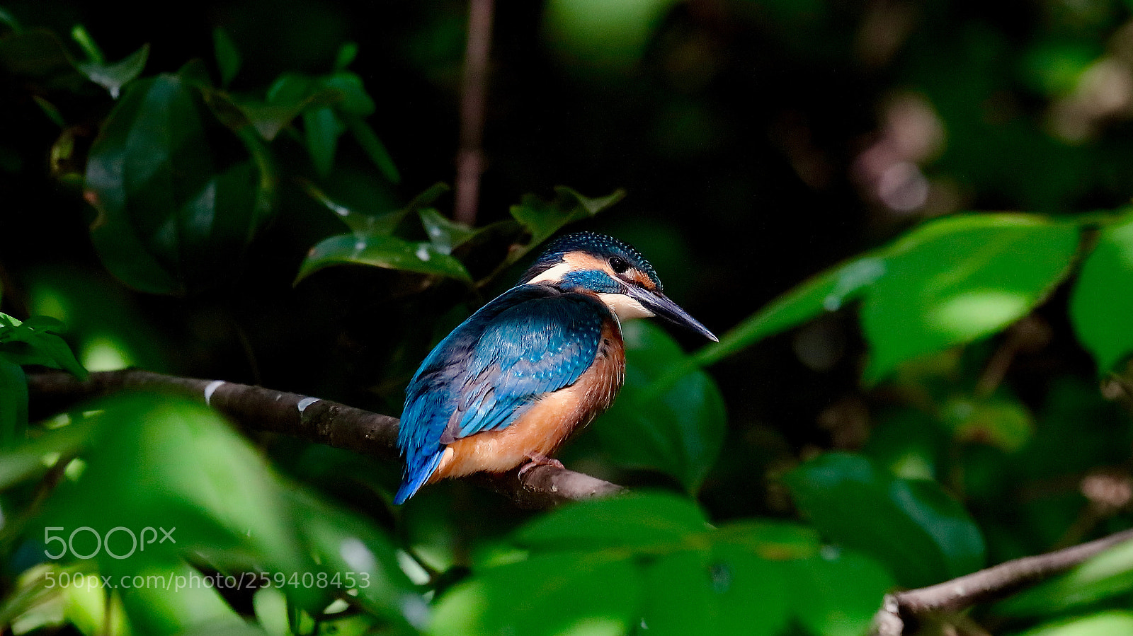 Canon EOS 5DS sample photo. Untitled photography