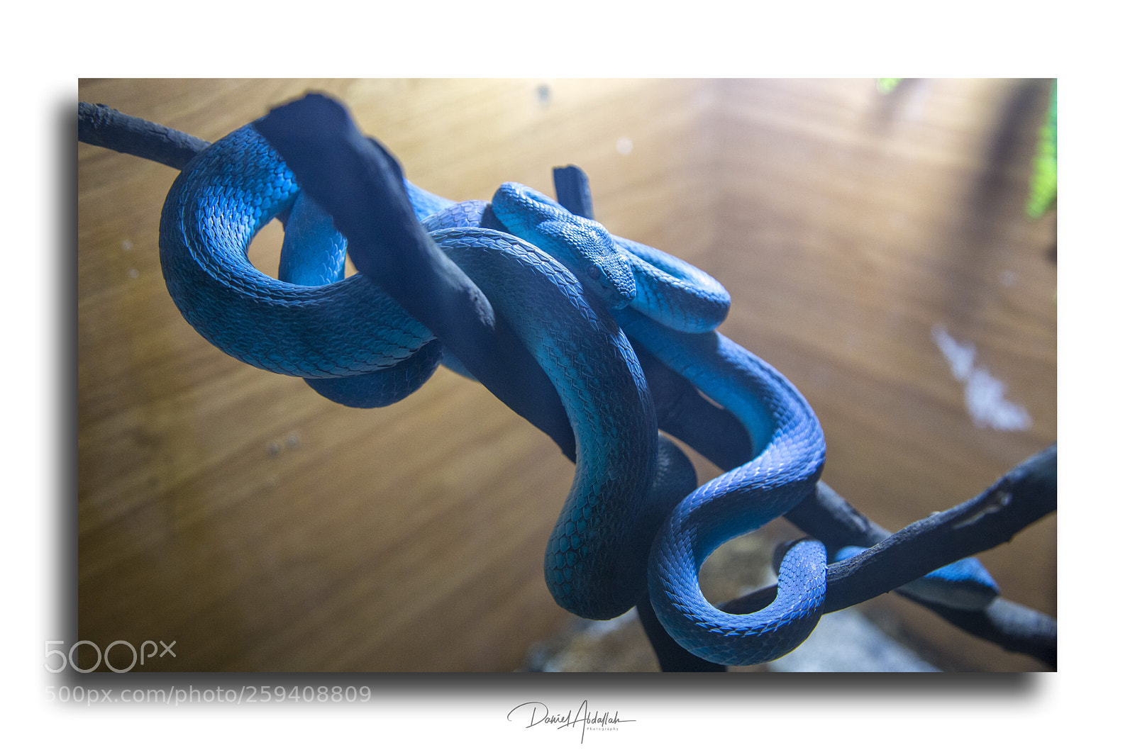 Canon EOS 6D sample photo. Untitled photography