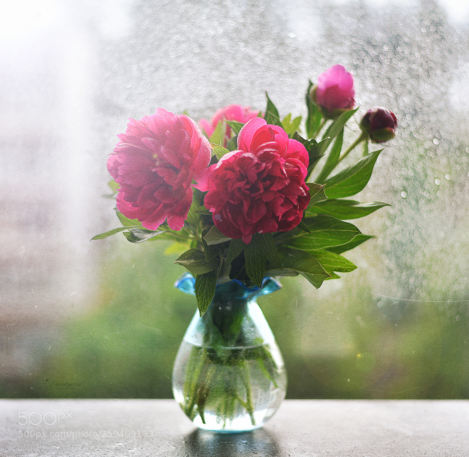Nikon D610 sample photo. Peonies photography