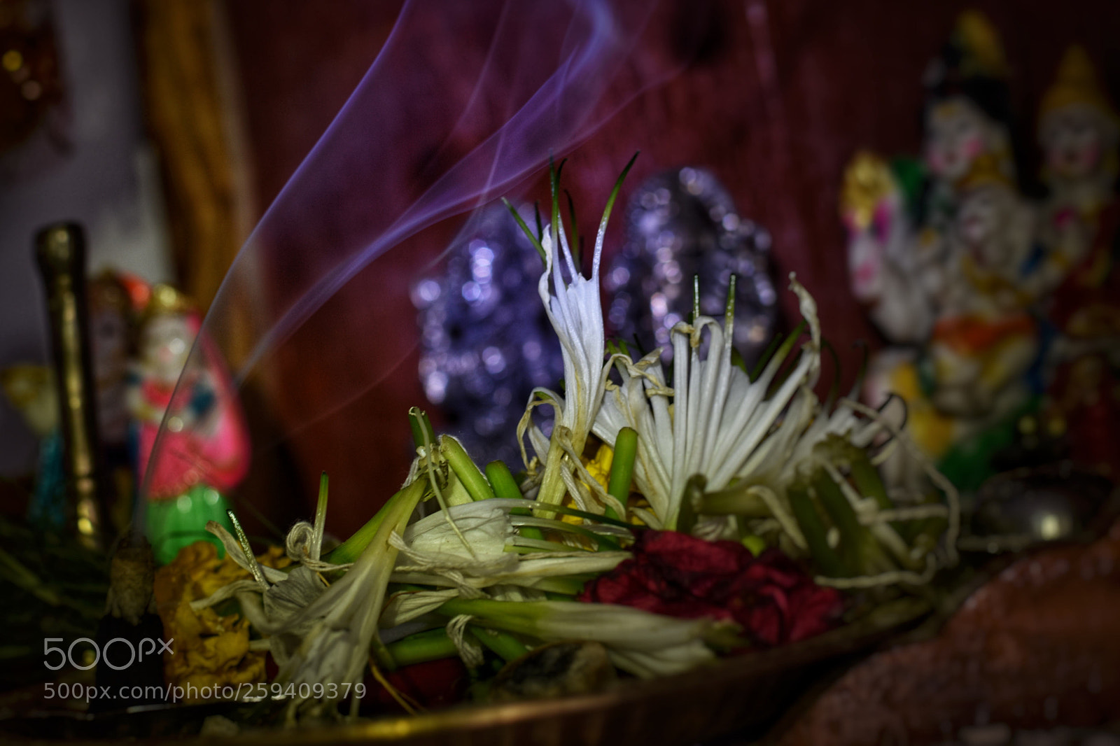 Nikon D3400 sample photo. Untitled photography