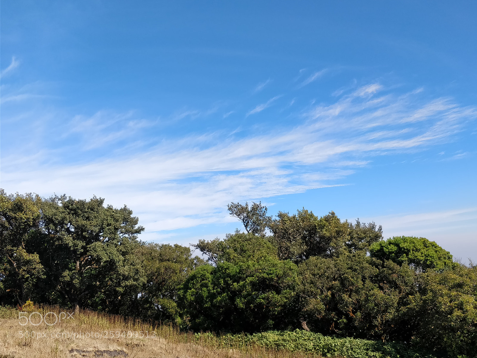 OnePlus 5 sample photo. Img_20171218_101606.jpg photography