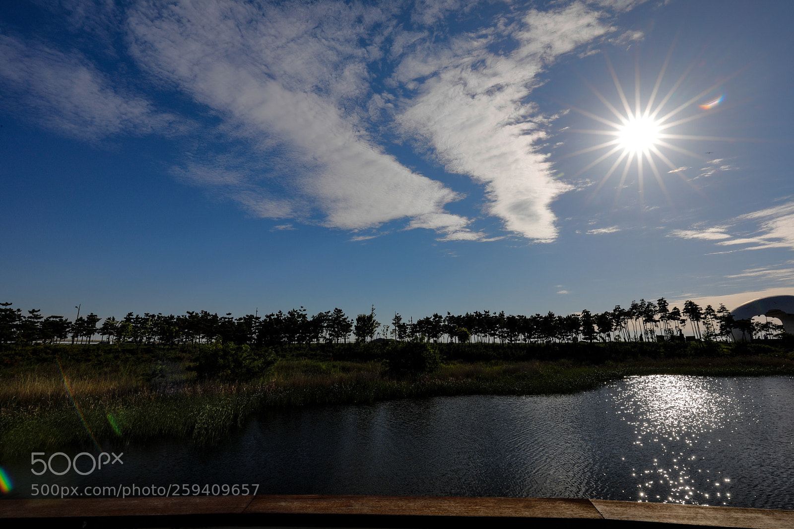 Canon EOS 5D Mark IV sample photo. Untitled photography