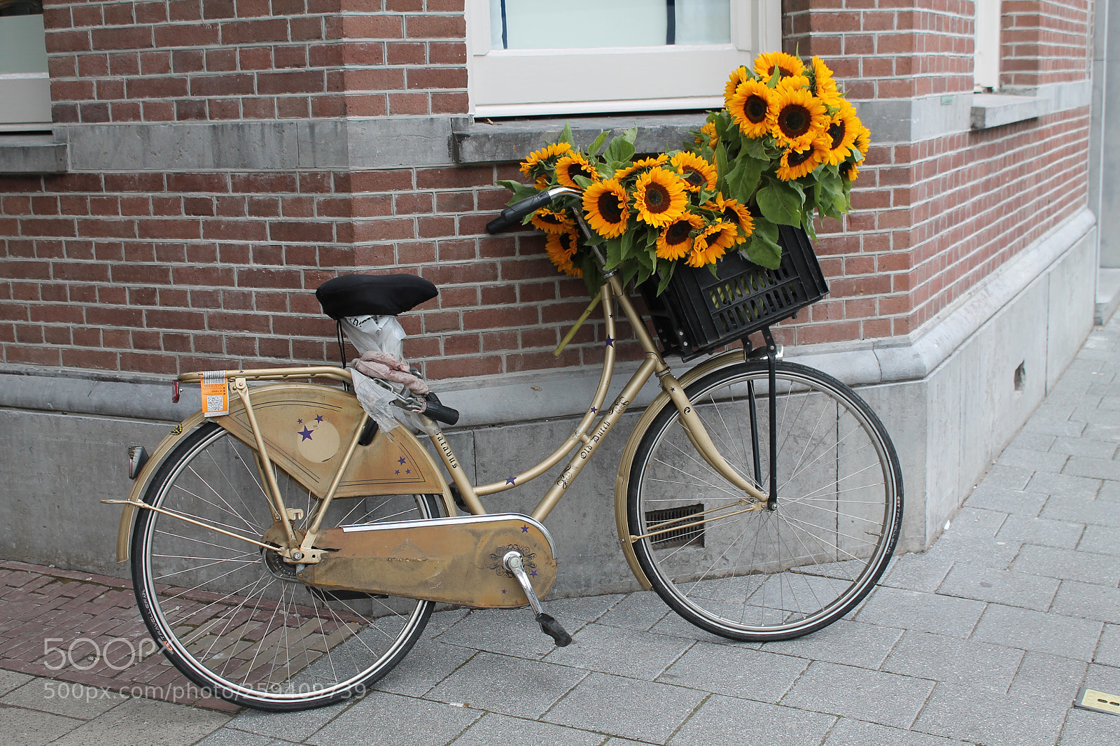 Canon EOS 1100D (EOS Rebel T3 / EOS Kiss X50) sample photo. Amsterdam  photography