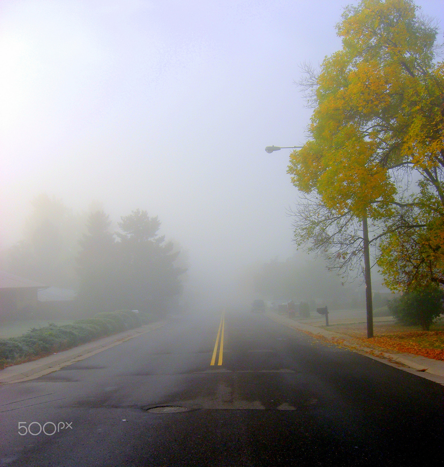 CASIO EX-Z1080 sample photo. Foggy lane photography