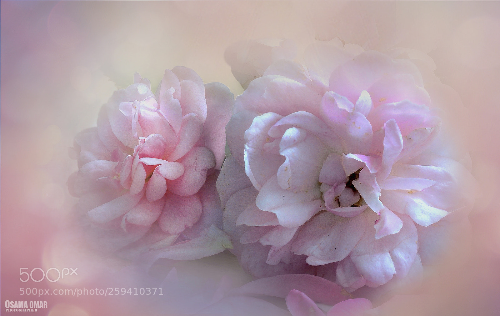 Nikon D7100 sample photo. ... photography