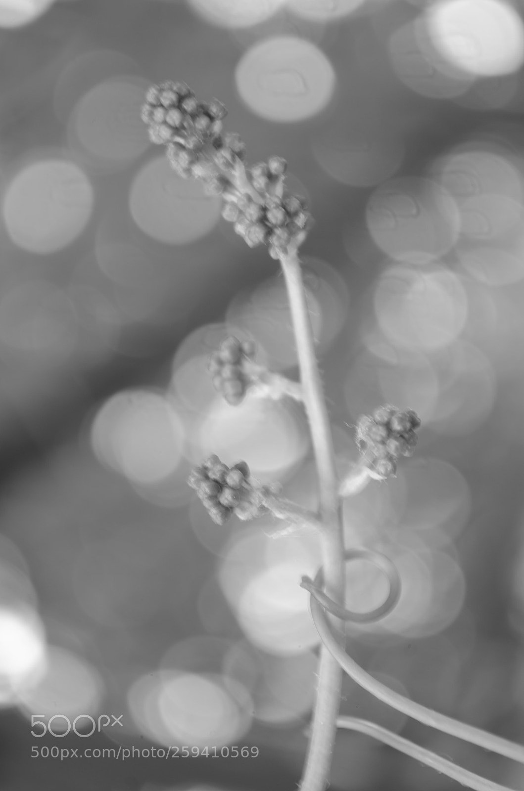 Nikon D5100 sample photo. Let me hold you photography
