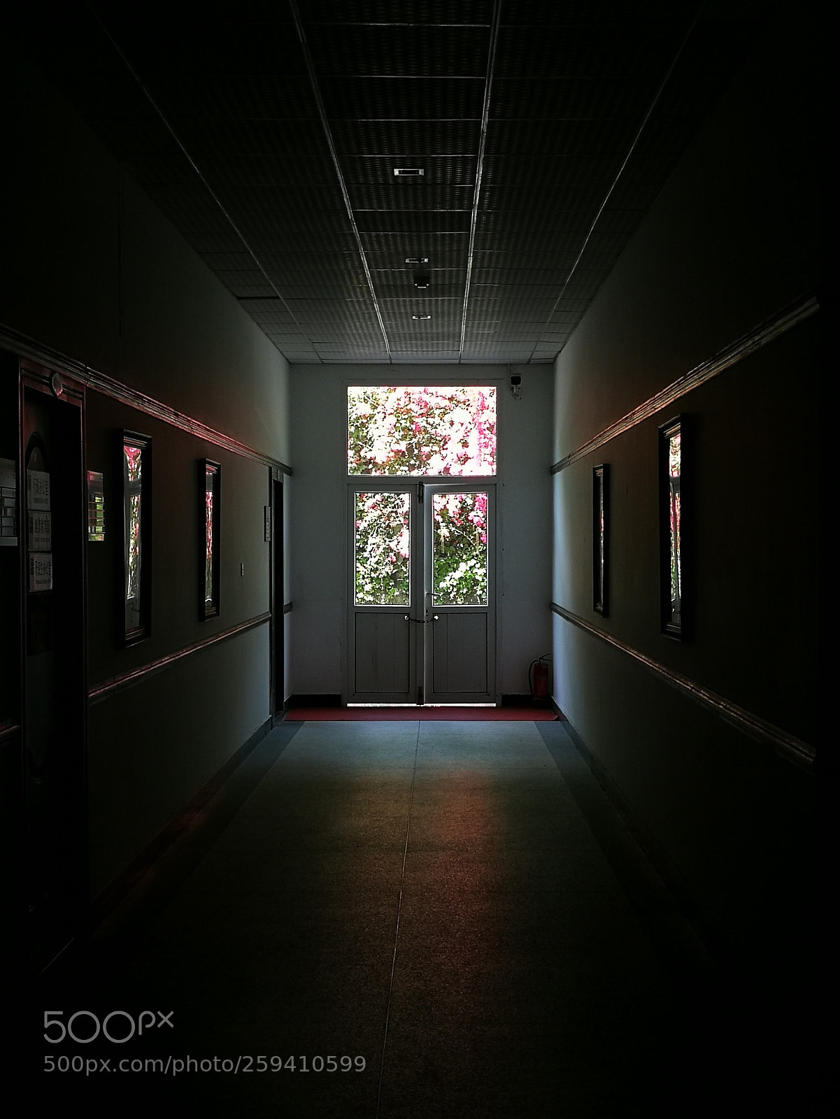 HUAWEI P10 sample photo. Untitled photography