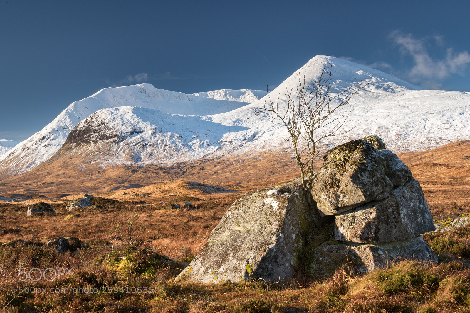 Nikon D810 sample photo. Rannoch moor & black mount #2 photography