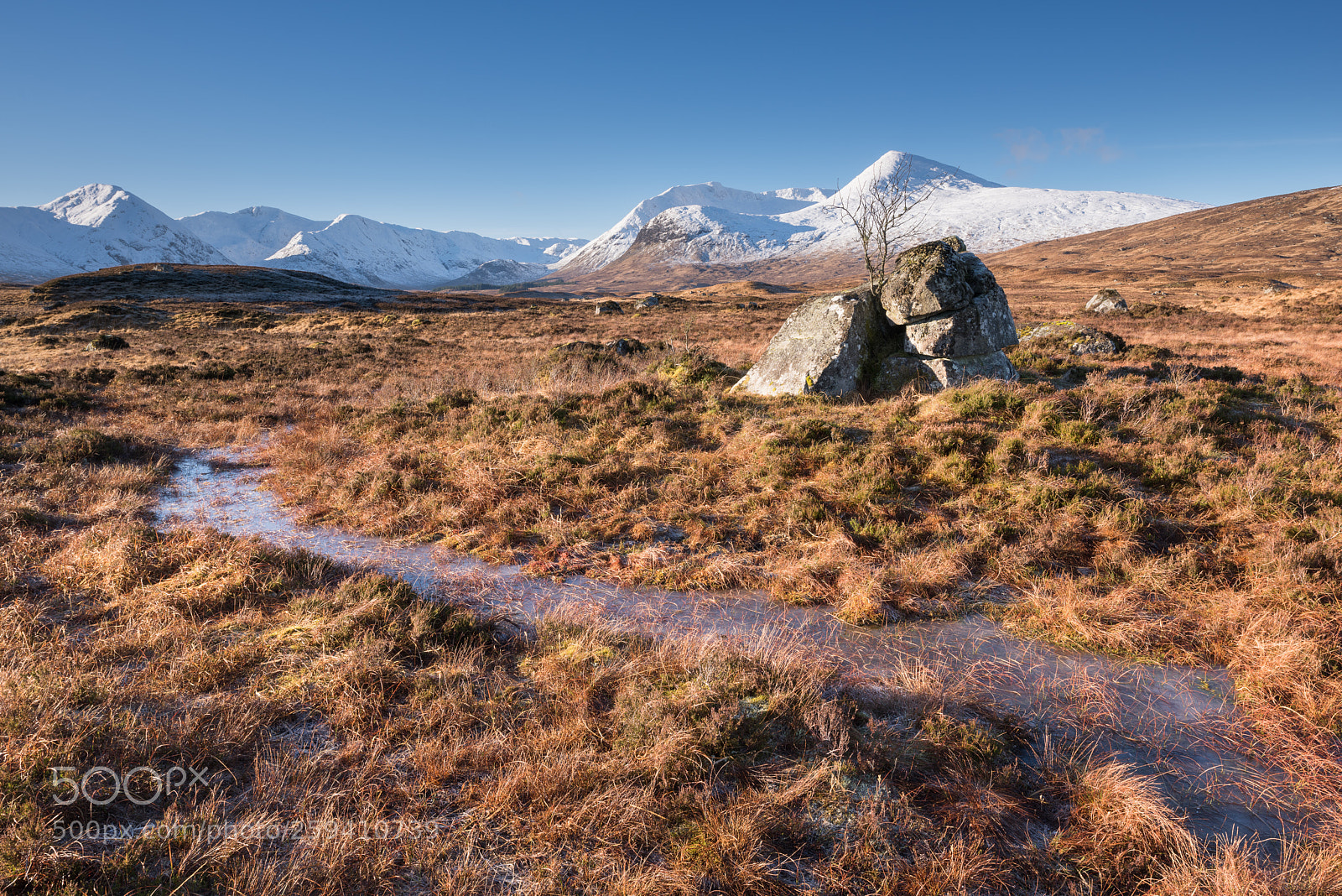 Nikon D810 sample photo. Rannoch moor & black mount #3 photography