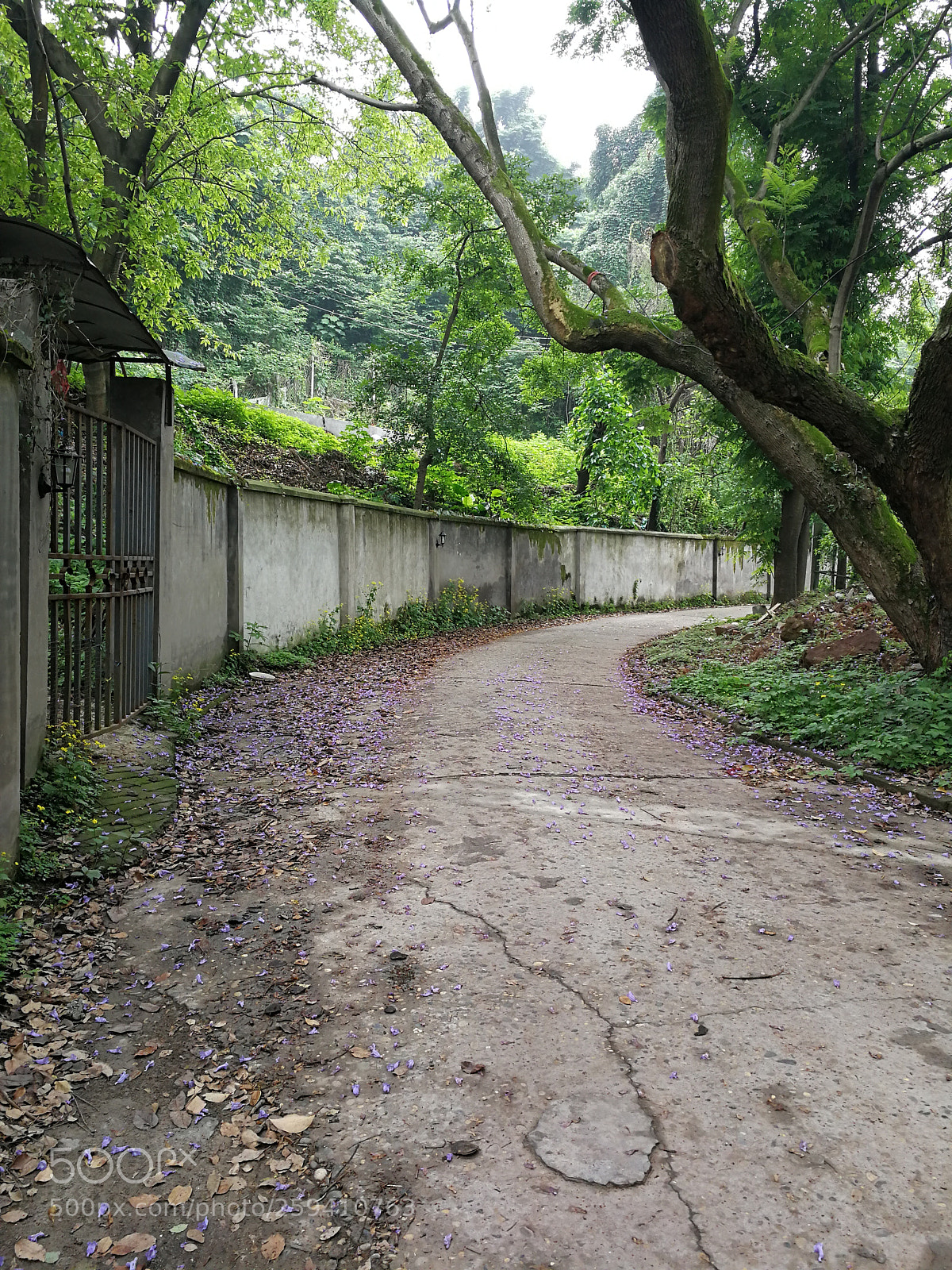 HUAWEI P10 sample photo. Untitled photography