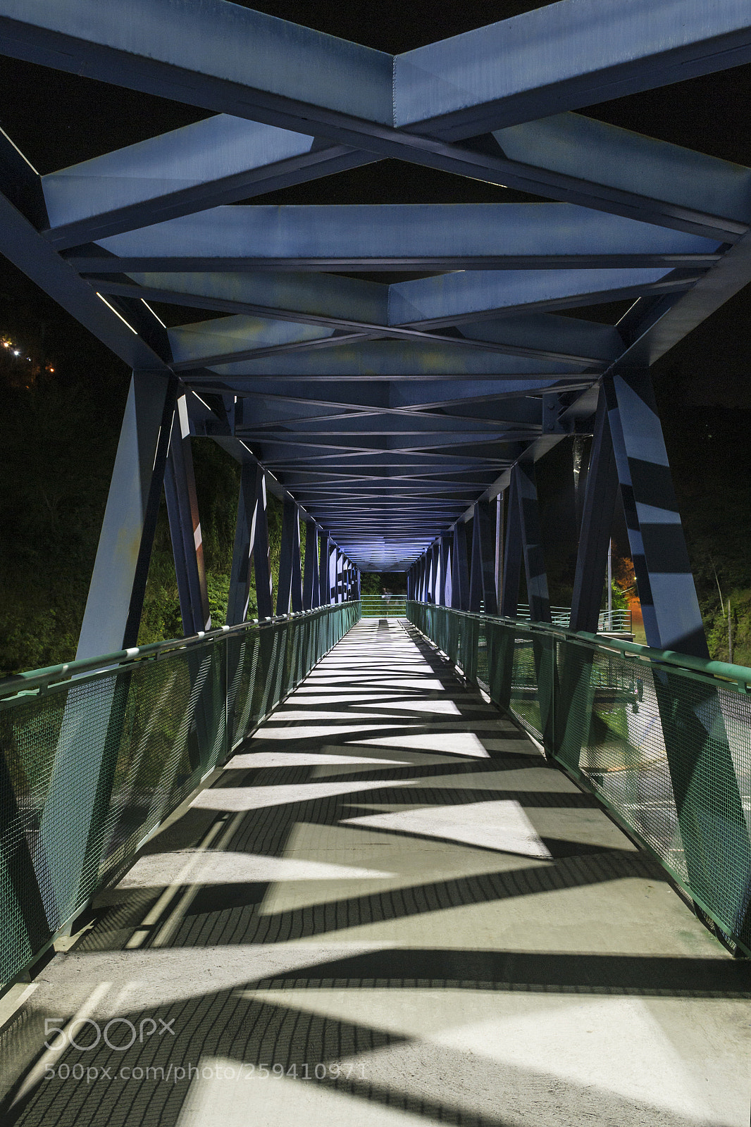 Nikon D3100 sample photo. Pedestrian overpass at night photography