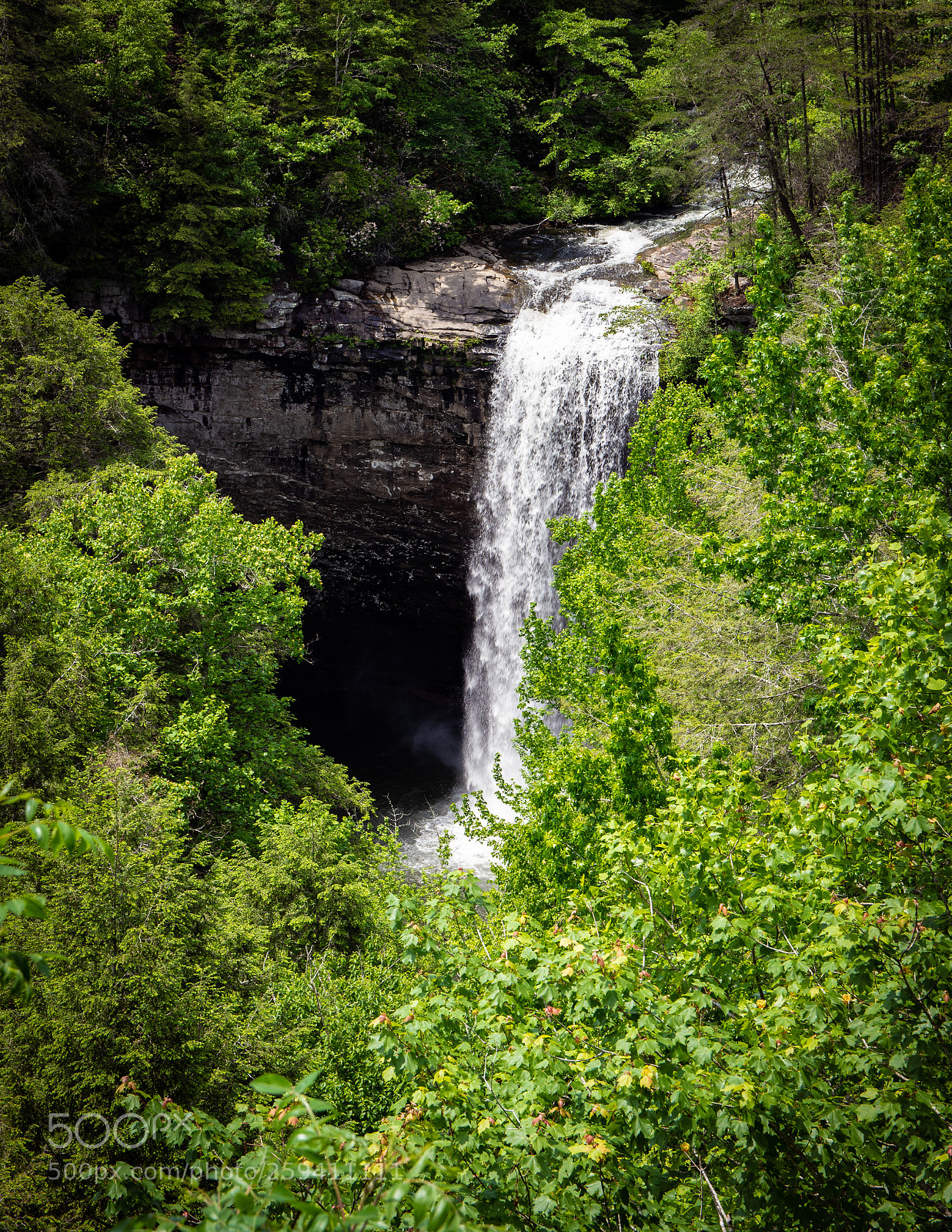 Nikon D7200 sample photo. Fiery gizzard trail waterfall photography