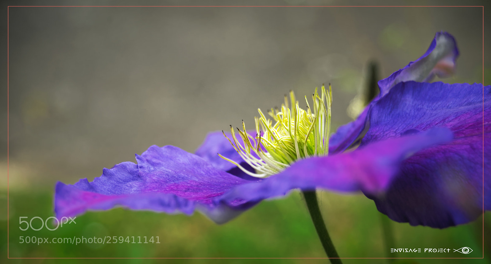 Sony a7R sample photo. Colours of nature photography
