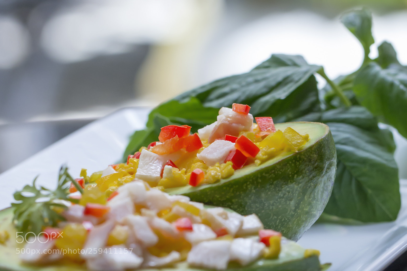 Canon EOS 600D (Rebel EOS T3i / EOS Kiss X5) sample photo. Avocado cheezy photography