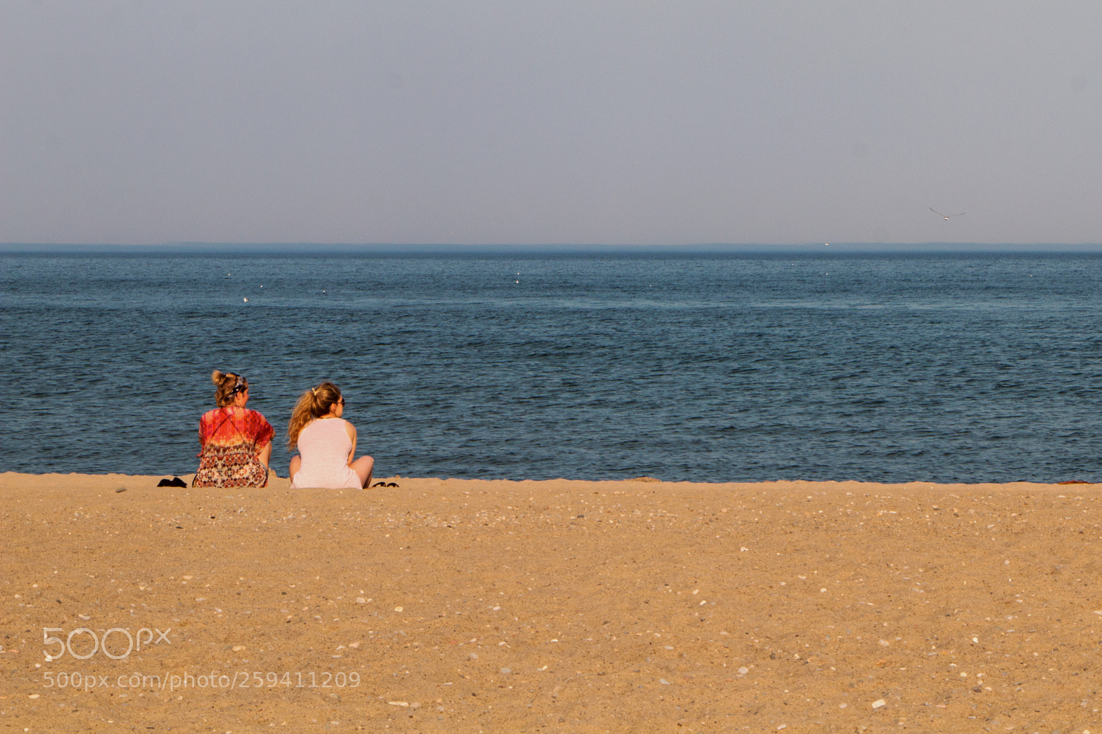Canon EOS 70D sample photo. Horizontal colors photography